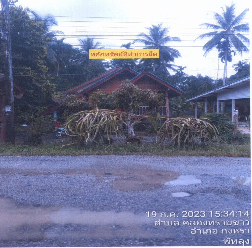 บ้านเดี่ยว พัทลุง กงหรา คลองทรายขาว 1252269