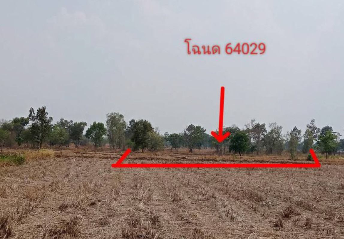ที่ดินเปล่า อุบลราชธานี พิบูลมังสาหาร ระเว 504000