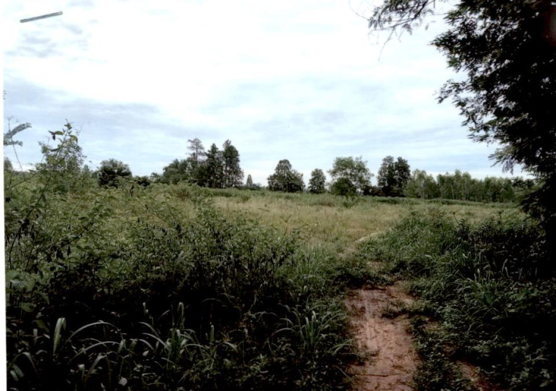 ที่ดินเปล่า กาฬสินธุ์ เมืองกาฬสินธุ์ ลำปาว 229400