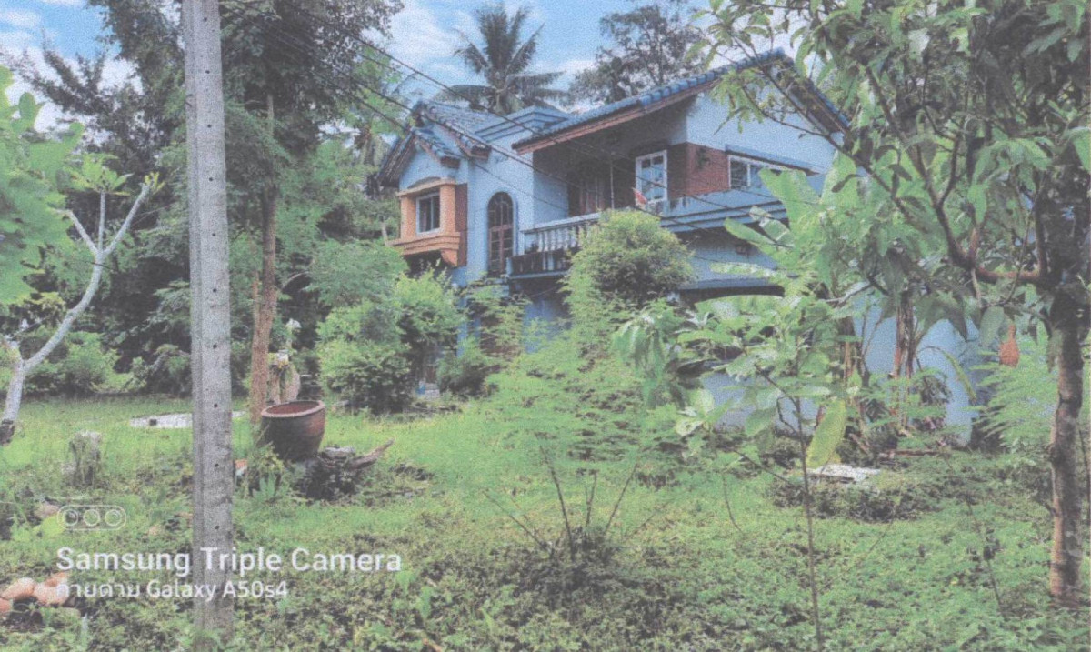 บ้านเดี่ยว ชุมพร เมืองชุมพร ท่ายาง 5258250