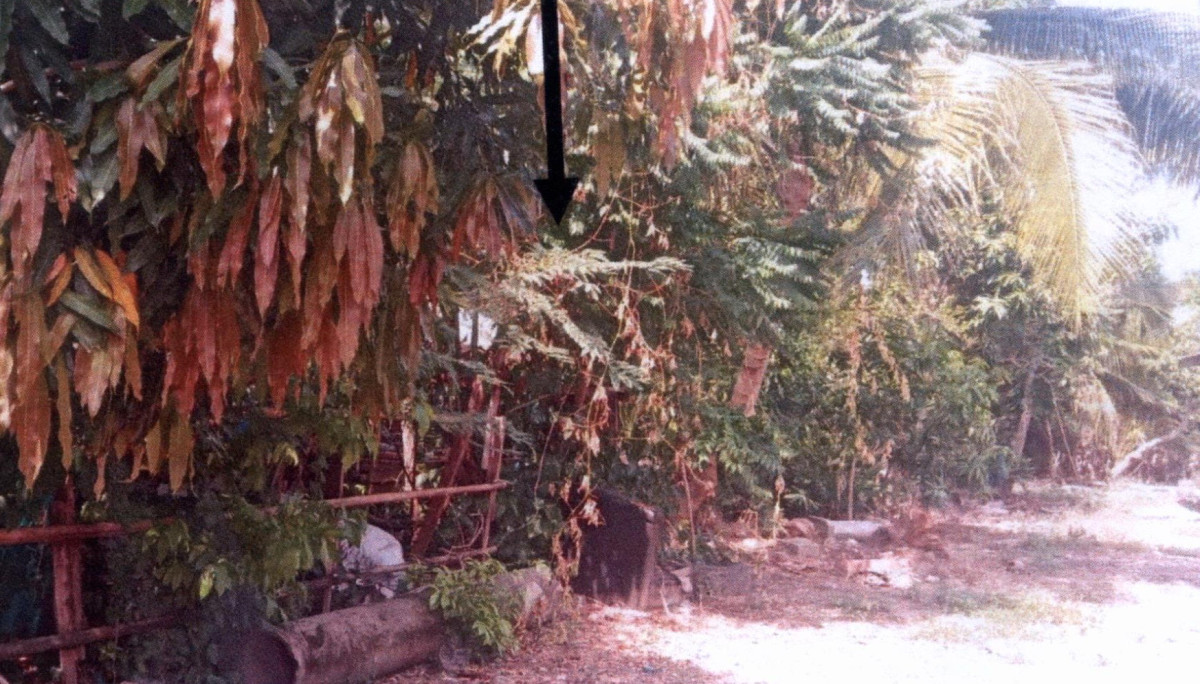 Residential land/lot Phatthalung Mueang Phatthalung Chai Buri 433800