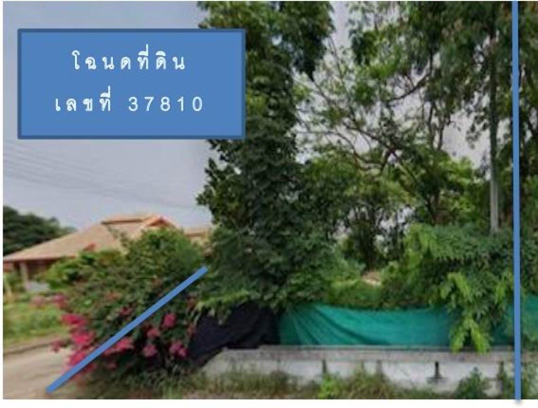 ที่ดินเปล่า เชียงใหม่ ดอยสะเก็ด ตลาดขวัญ 1430000