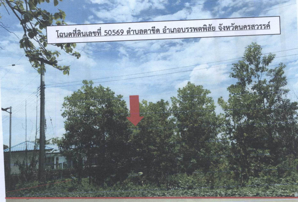ที่ดินเปล่า นครสวรรค์ บรรพตพิสัย ตาขีด 303600