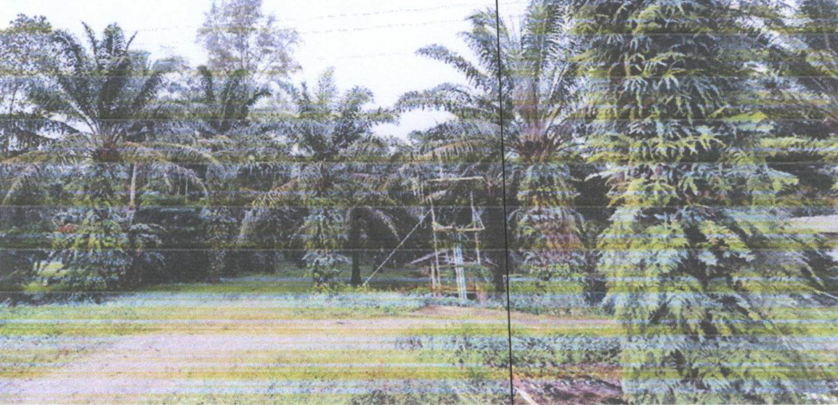 ที่ดินเปล่า ชุมพร ปะทิว ชุมโค 200200