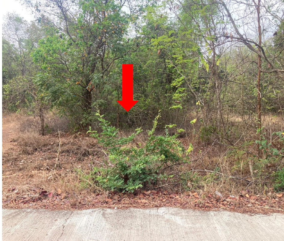 ที่ดินเปล่า อุบลราชธานี ม่วงสามสิบ ยางโยภาพ 155160