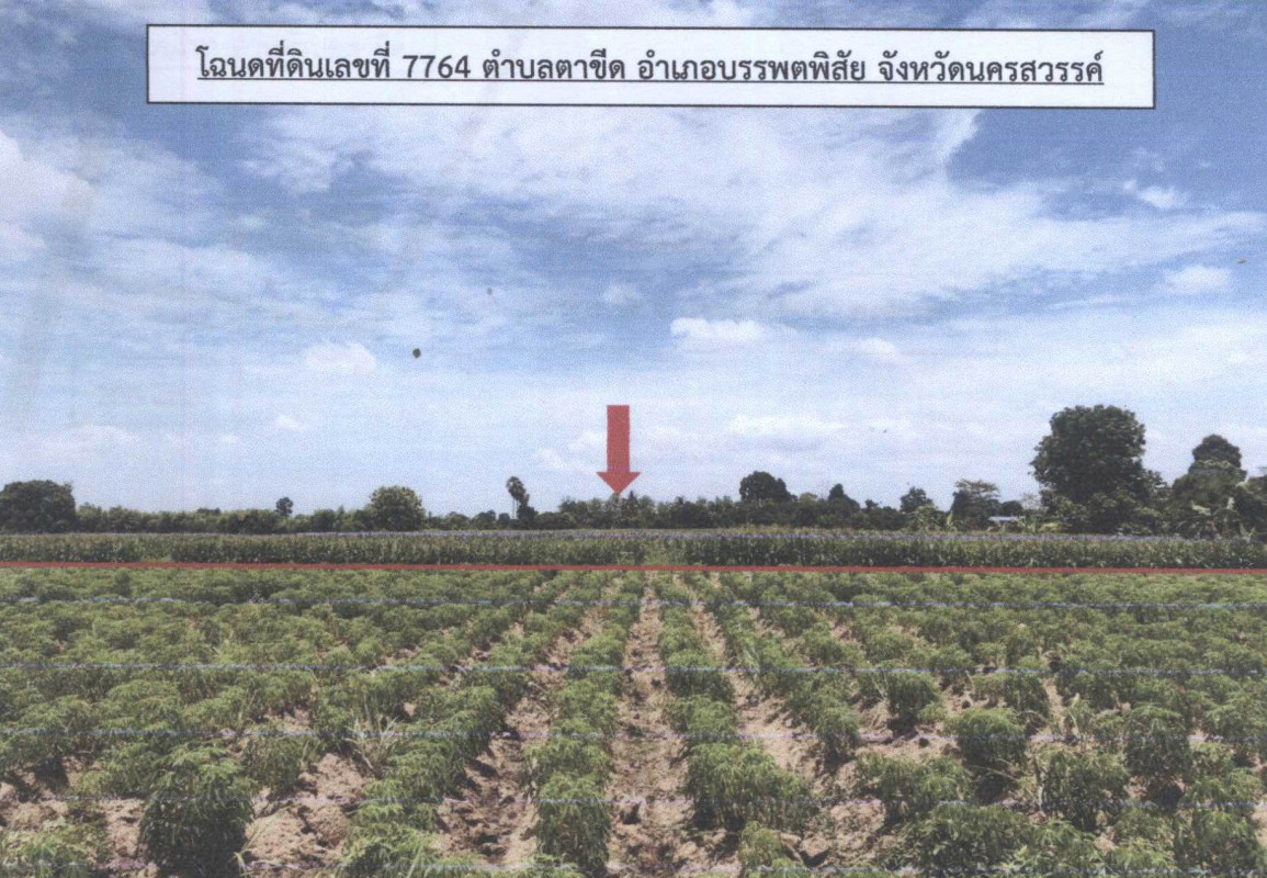 ที่ดินเปล่า นครสวรรค์ บรรพตพิสัย ตาขีด 957121