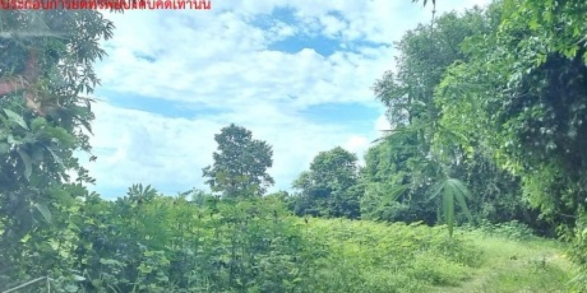 ที่ดินเปล่า กาฬสินธุ์ ห้วยผึ้ง ไค้นุ่น 518200