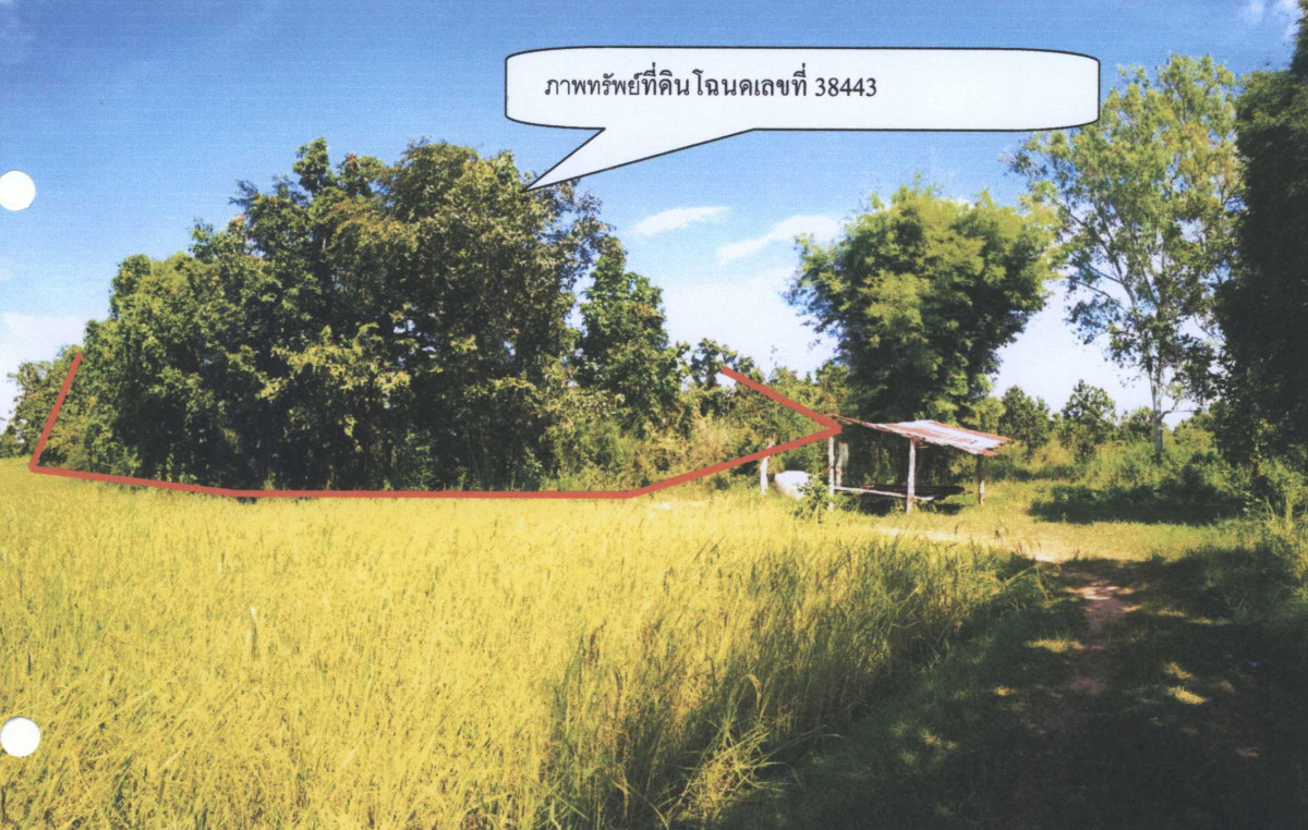 ที่ดินเปล่า อุบลราชธานี ตระการพืชผล ถ้ำแข้ 300000