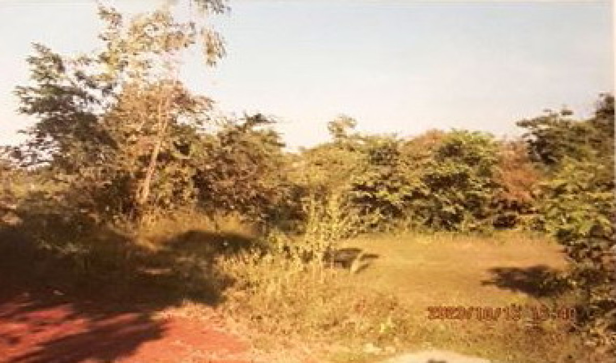 ที่ดินเปล่า อุดรธานี เมืองอุดรธานี หนองนาคำ 438200