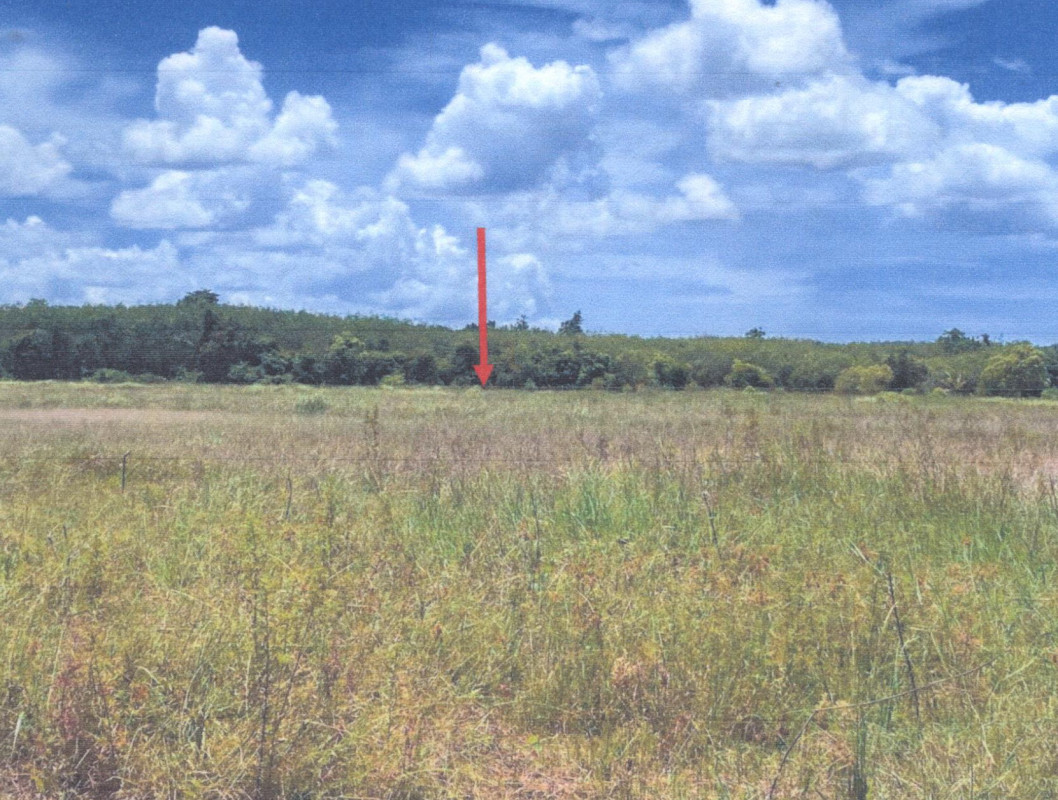 Residential land/lot Phatthalung Khuan Khanun Makok Nuea 270300