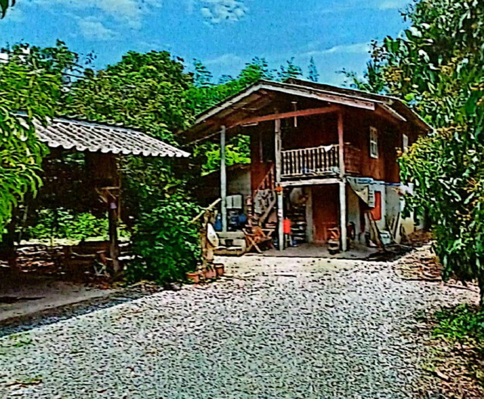 บ้านเดี่ยว เชียงใหม่ สันป่าตอง มะขามหลวง 1190840