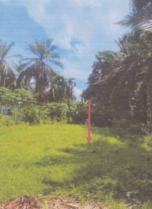 Residential land/lot Phangnga Thap Put Khok Charoen 40800