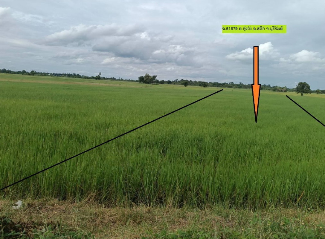ที่ดินเปล่า บุรีรัมย์ สตึก ทุ่งวัง 509916