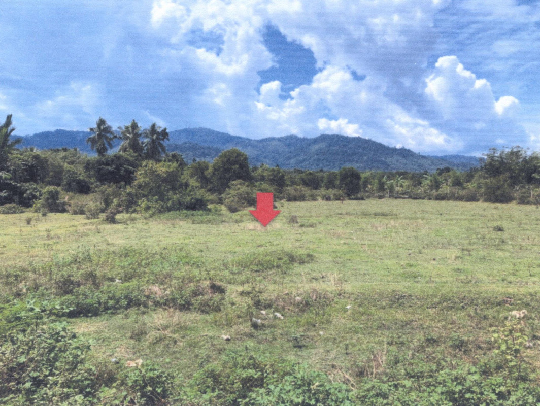 Residential land/lot Yala Raman Cha Kwua 18600