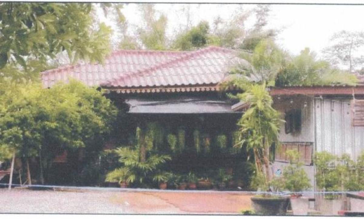 บ้านเดี่ยว นครราชสีมา โนนสูง ใหม่ 2235305
