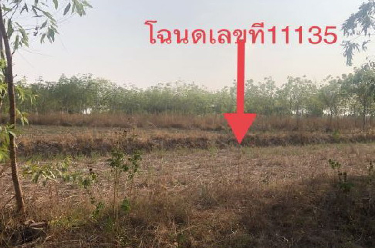 ที่ดินเปล่า อุดรธานี บ้านดุง อ้อมกอ 2404800