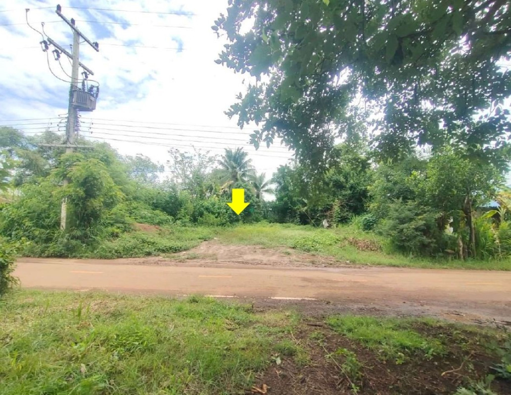 ที่ดินเปล่า ศรีสะเกษ ศรีรัตนะ เสืองข้าว 38750