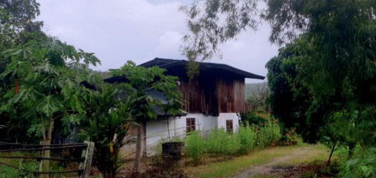 บ้านเดี่ยว เชียงใหม่ พร้าว สันทราย 439050