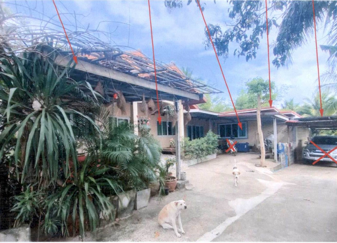 บ้านเดี่ยว นครราชสีมา โชคชัย ด่านเกวียน 1346480