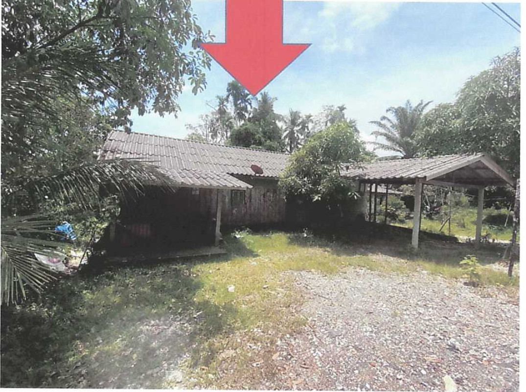 บ้านเดี่ยว นราธิวาส สุไหงปาดี ปะลุรู 530185