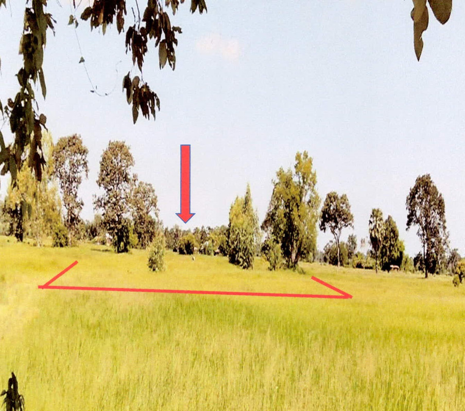 ที่ดินเปล่า ศรีสะเกษ กันทรารมย์ เมืองน้อย 104000