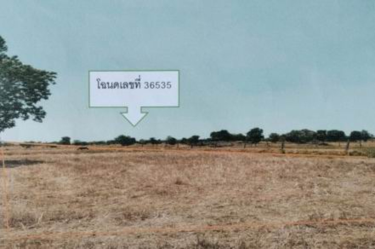 ที่ดินเปล่า นครราชสีมา บัวใหญ่ ขุนทอง 579380