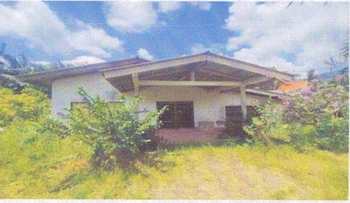 บ้านเดี่ยว กระบี่ เขาพนม หน้าเขา 494500