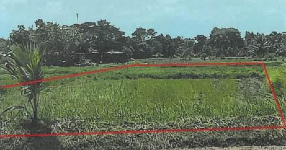 ที่ดินเปล่า กาฬสินธุ์ เมืองกาฬสินธุ์ บึงวิชัย 240000