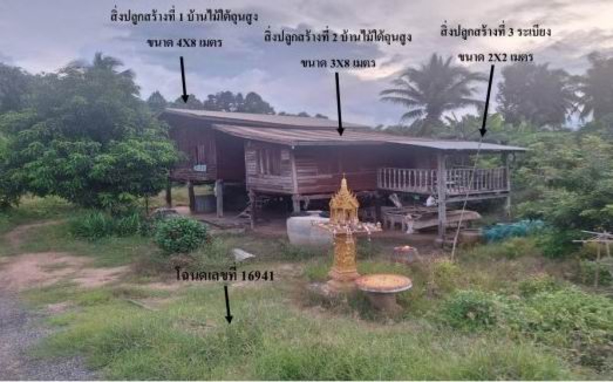 บ้านเดี่ยว พิจิตร บางมูลนาก บางไผ่ 164920