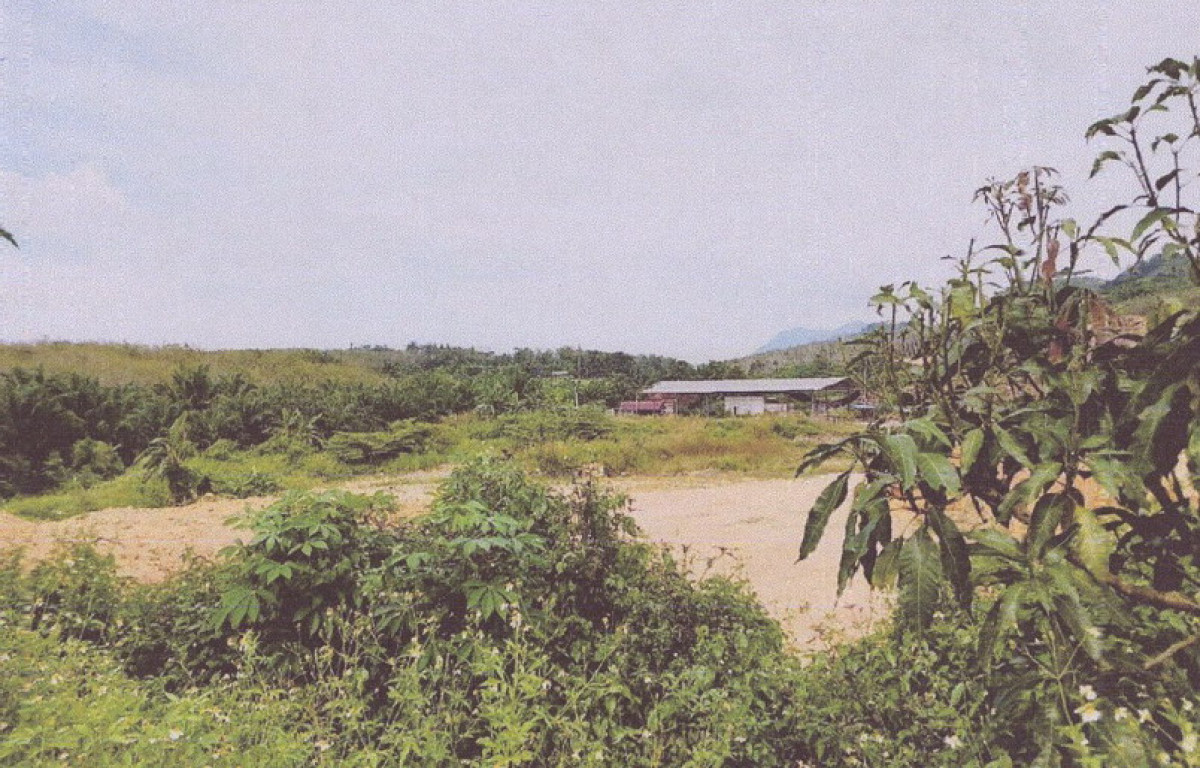 Residential land/lot Phangnga Thai Mueang Thung Maphrao 701784
