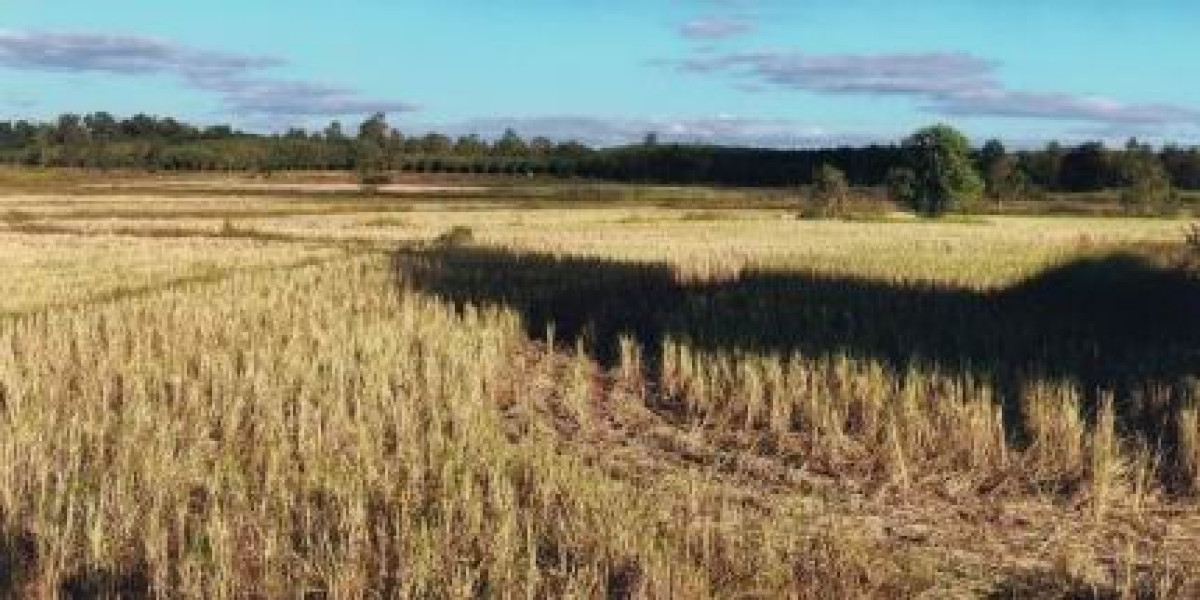 Residential land/lot Kalasin Khao Wong Kut Pla Khao 207000