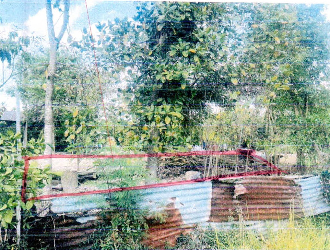 ที่ดินเปล่า ศรีสะเกษ พยุห์ โนนเพ็ก 15795