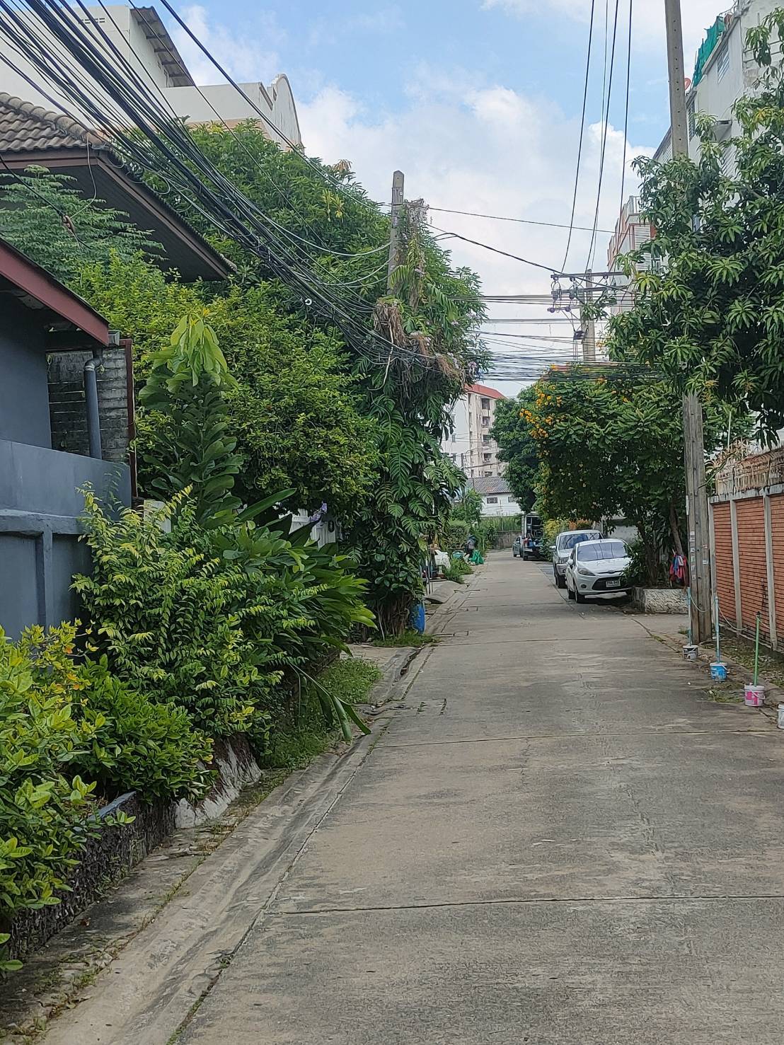 บ้านเดี่ยว กรุงเทพมหานคร บางเขน อนุสาวรีย์ 10000000