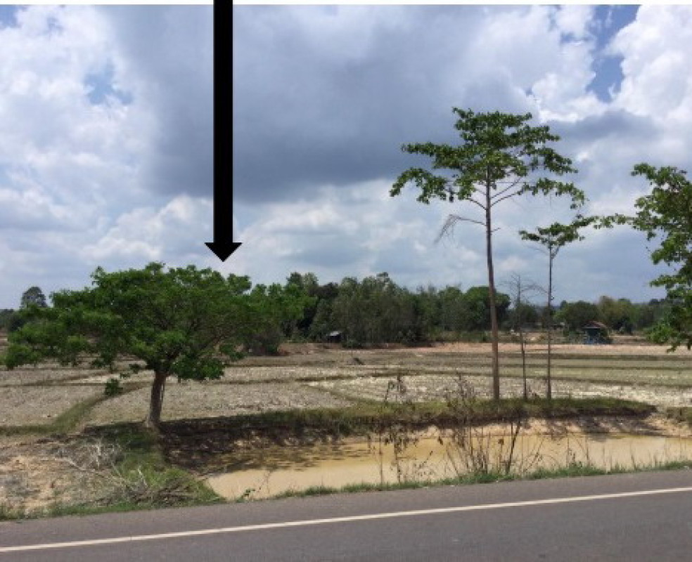ที่ดินเปล่า กาฬสินธุ์ ห้วยผึ้ง ไค้นุ่น 542000