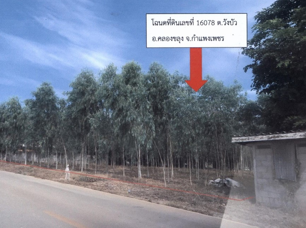 ที่ดินเปล่า กำแพงเพชร คลองขลุง วังบัว 79200
