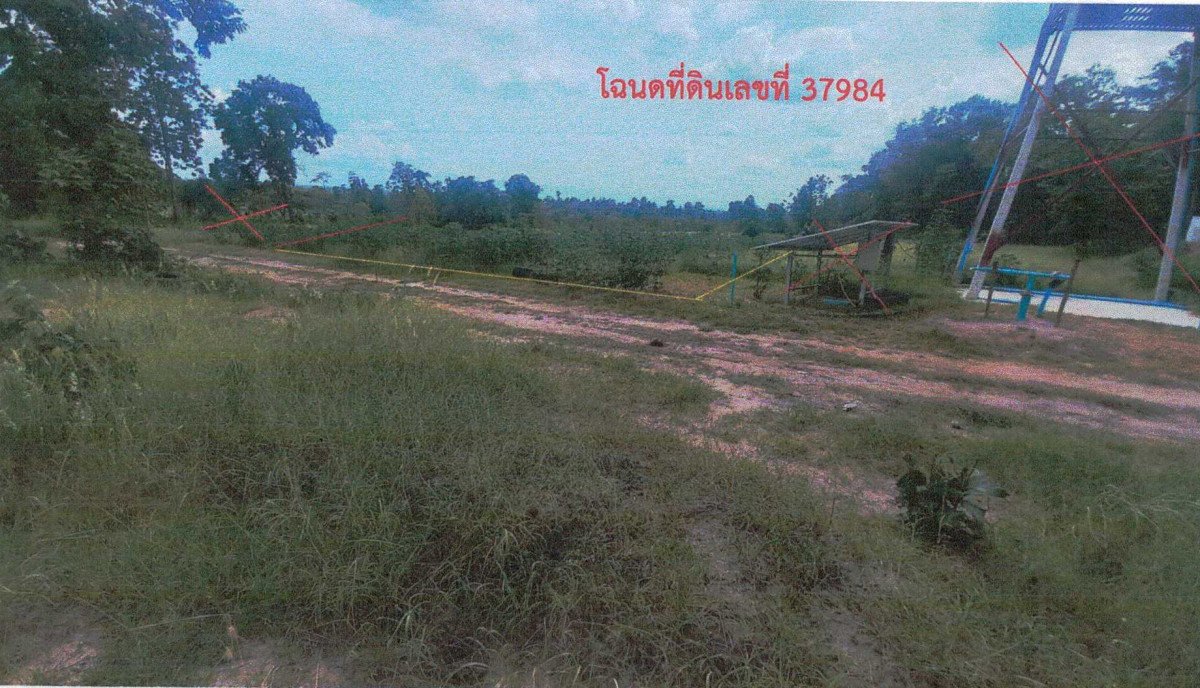 ที่ดินเปล่า ชัยภูมิ บ้านเขว้า ภูแลนคา 92880