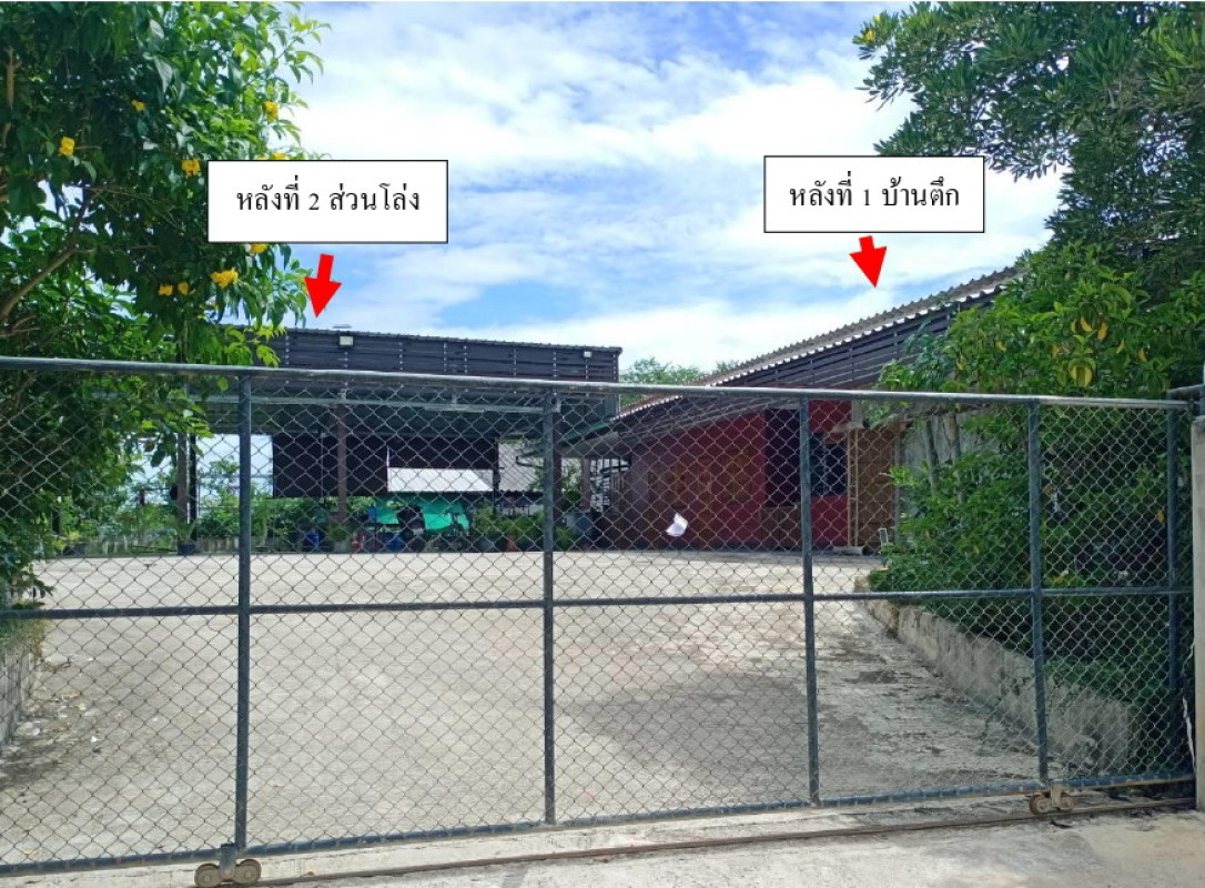 บ้านเดี่ยว พะเยา ดอกคำใต้ สันโค้ง 844470