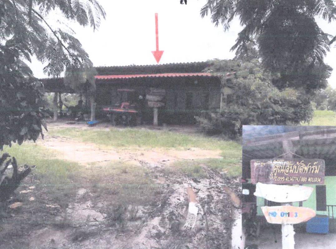 บ้านเดี่ยว กาฬสินธุ์ เมืองกาฬสินธุ์ เหนือ 1248000