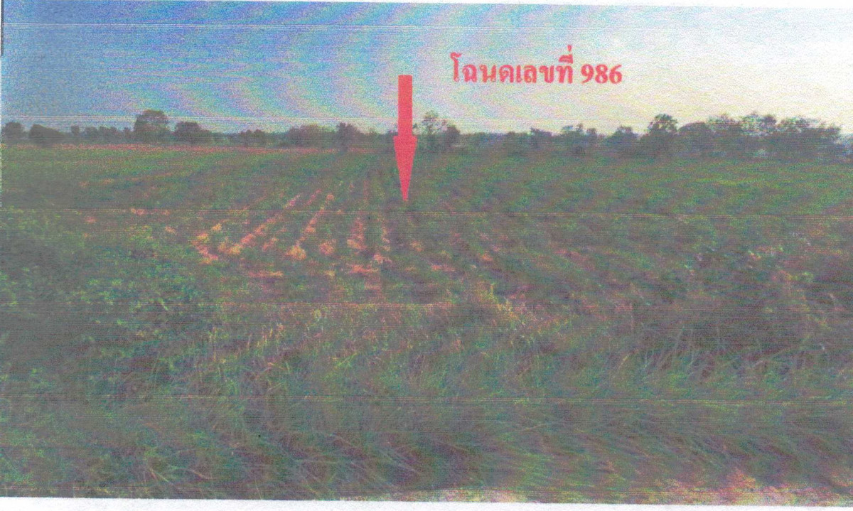 ที่ดินเปล่า ชัยภูมิ เนินสง่า รังงาม 2756000