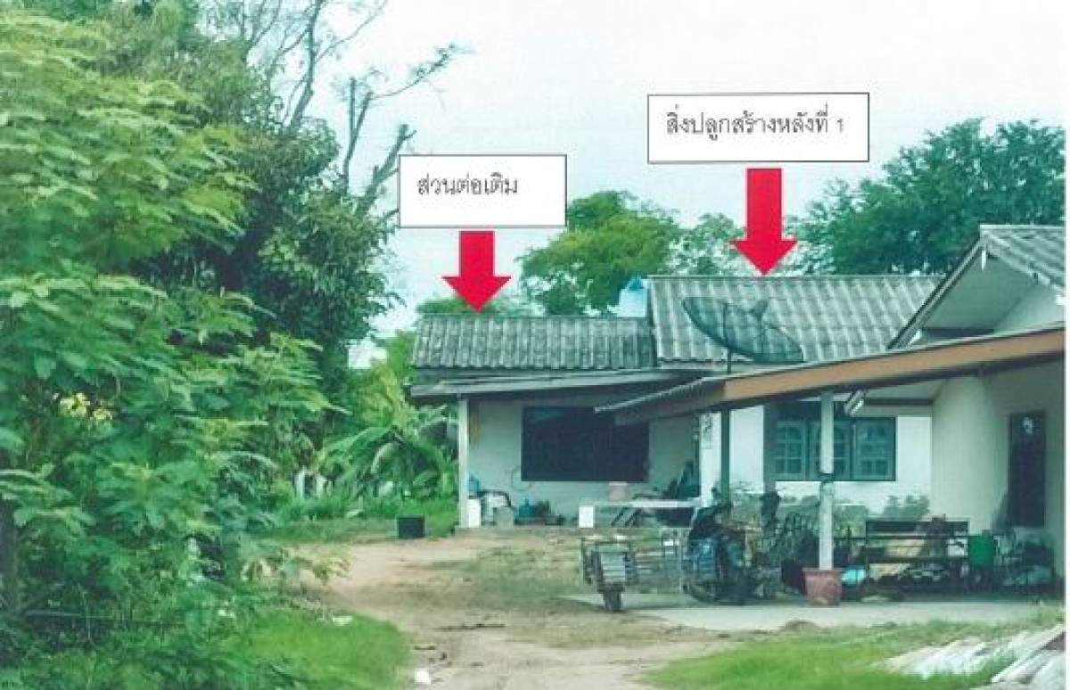 บ้านเดี่ยว บุรีรัมย์ พุทไธสง หายโศก 843630