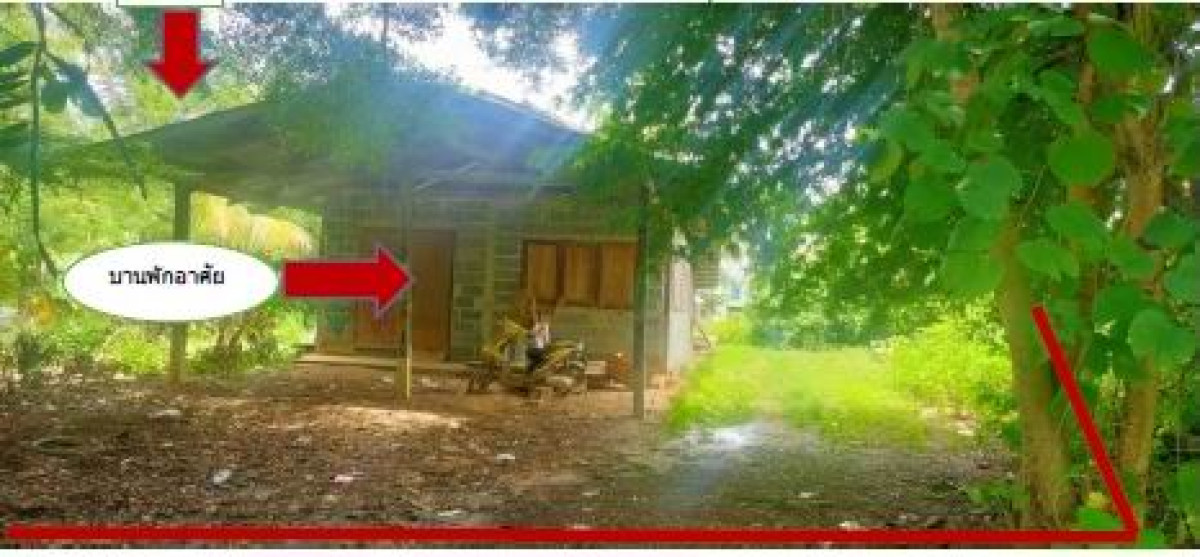 บ้านเดี่ยว บุรีรัมย์ พลับพลาชัย สำโรง 539340