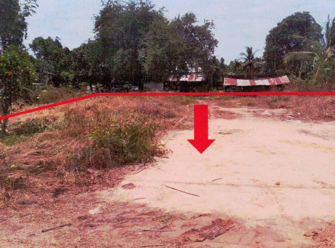 ที่ดินเปล่า พิษณุโลก พรหมพิราม หอกลอง 80745