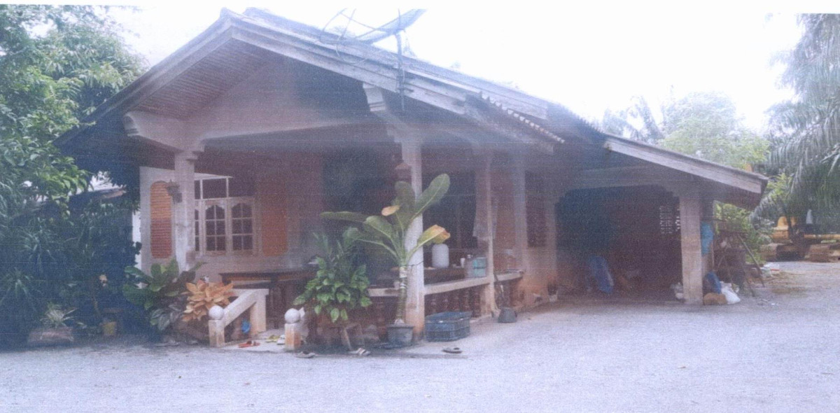 Single house Phatthalung Khuan Khanun Don Sai 685584