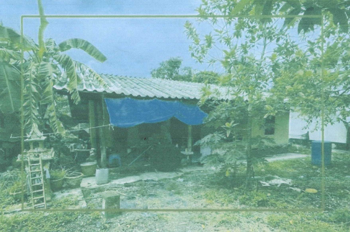 บ้านเดี่ยว ชุมพร เมืองชุมพร ท่ายาง 507960