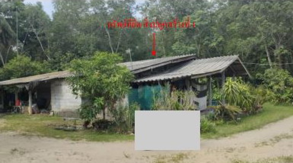 บ้านเดี่ยว นครศรีธรรมราช เมืองนครศรีธรรมราช กำแพงเซา 1165395