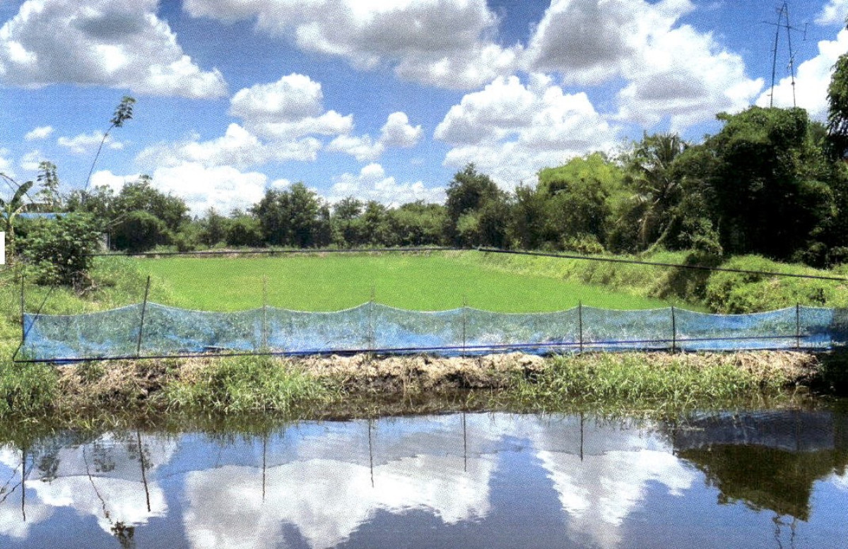 ที่ดินเปล่า สุพรรณบุรี ดอนเจดีย์ ดอนเจดีย์ 240000