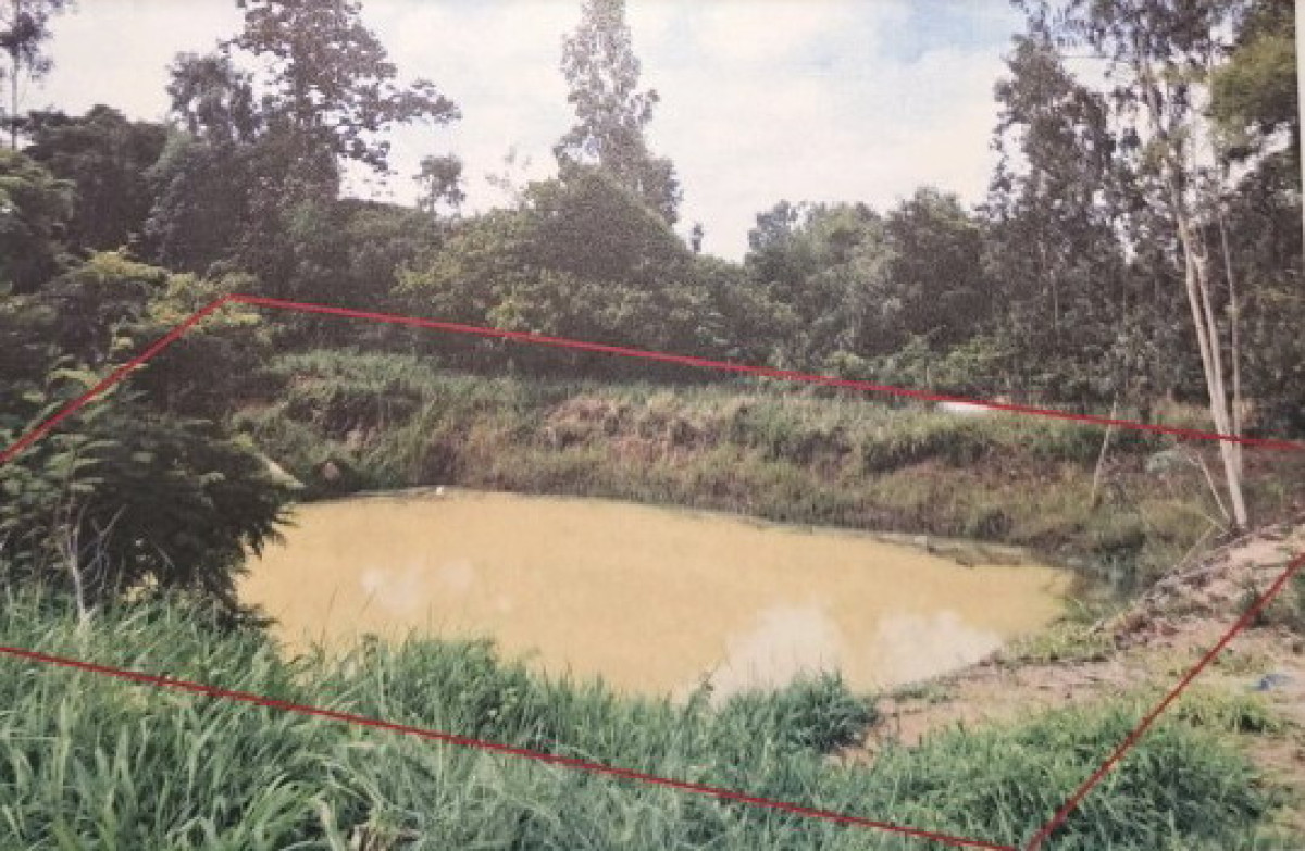 ที่ดินเปล่า อุบลราชธานี ตระการพืชผล คำเจริญ 164375