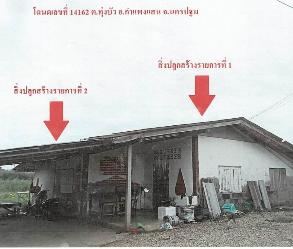 บ้านเดี่ยว นครปฐม กำแพงแสน ทุ่งบัว 513875