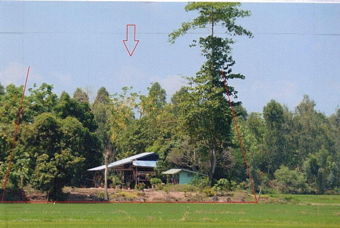 บ้านเดี่ยว พิษณุโลก พรหมพิราม พรหมพิราม 309030
