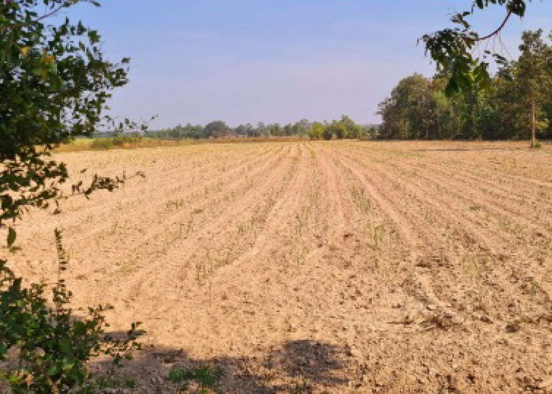 Residential land/lot Kalasin Nong Kung Si Nong Kung Si 2343000